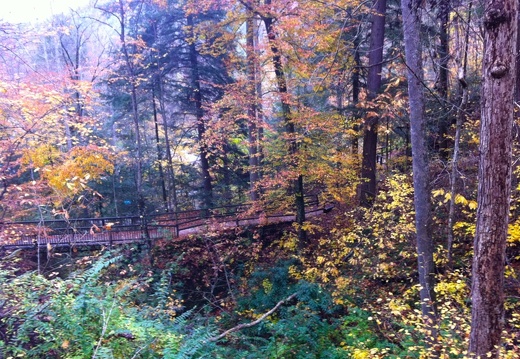 Natural Bridge State Park